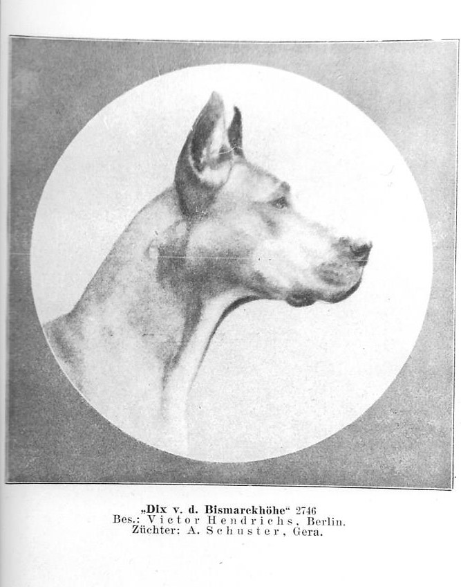 Dix vd Bismarckhohe